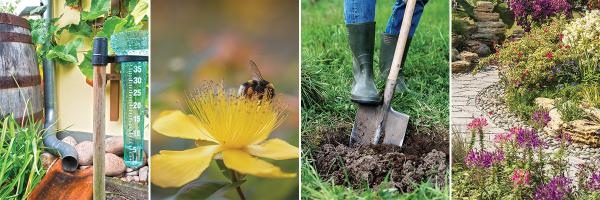 Rain barrel and gauge, yellow flower with bee, rain boots and shovel digging into soil, and stone path in garden